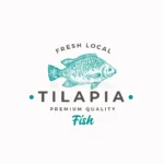 fresh-local-tilapia-abstract-vector-sign-symbol-logo-template-hand-drawn-fish-sketch-silhouette-modern-typography-vintage-148998944